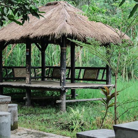 Tiara Homestay Plambi 외부 사진