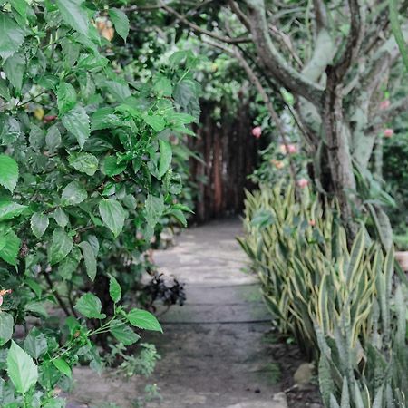 Tiara Homestay Plambi 외부 사진