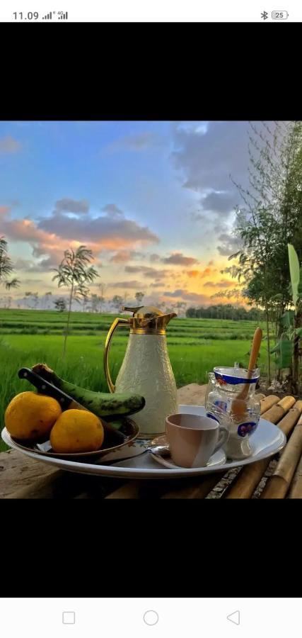 Tiara Homestay Plambi 외부 사진