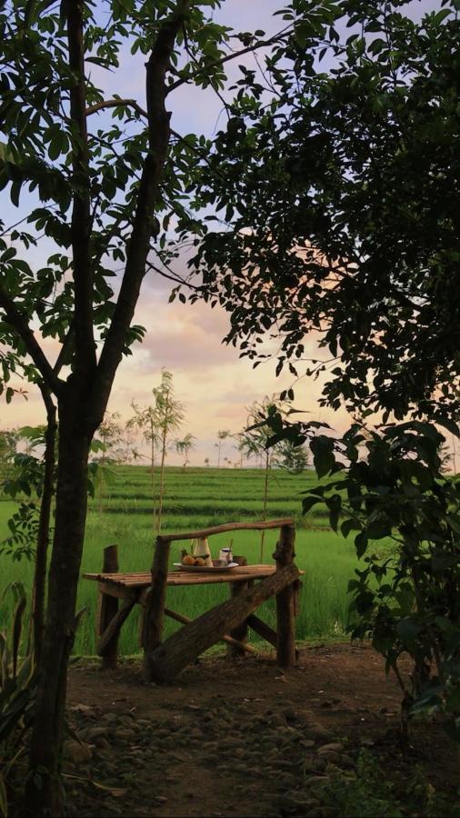 Tiara Homestay Plambi 외부 사진