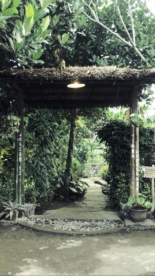 Tiara Homestay Plambi 외부 사진