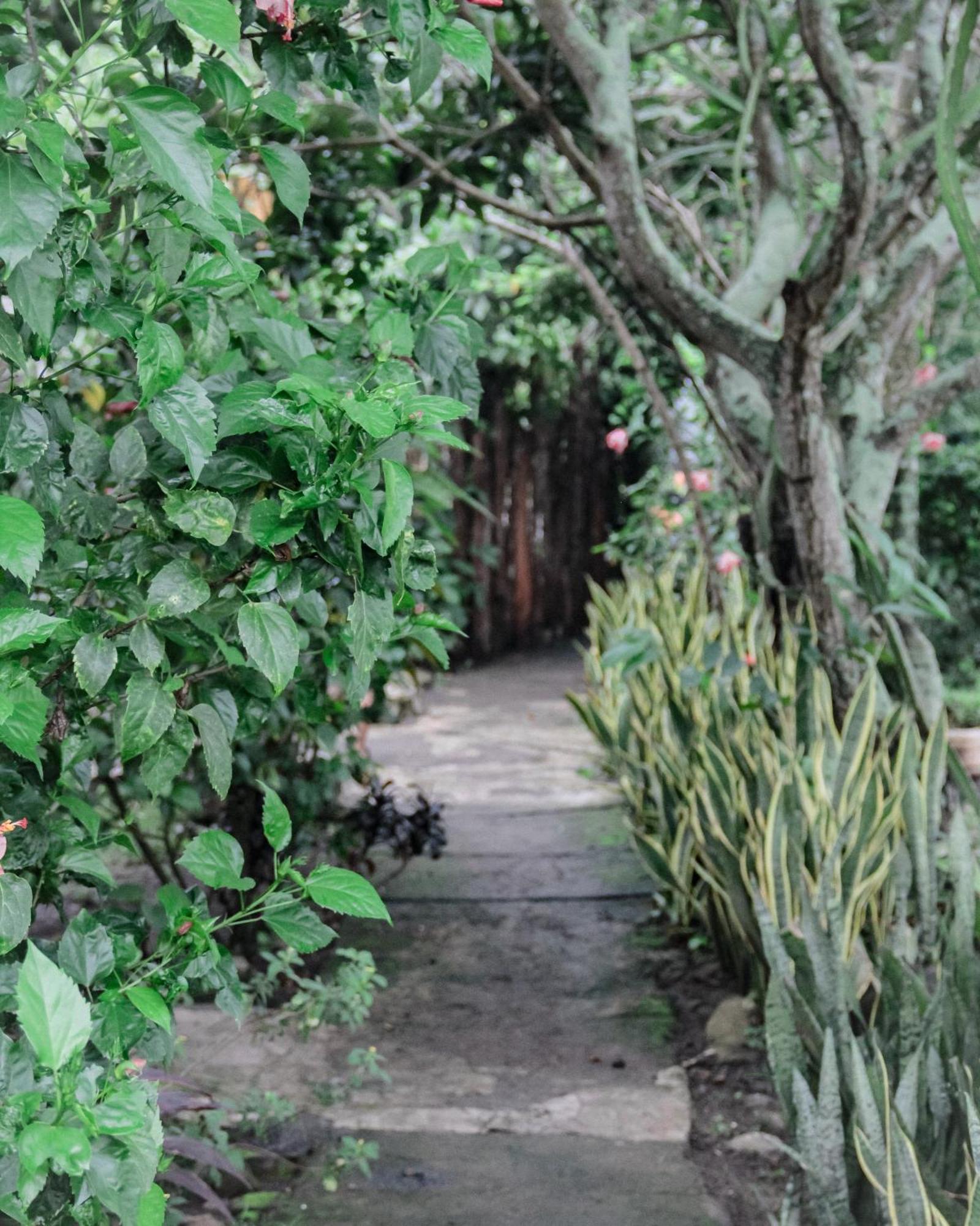 Tiara Homestay Plambi 외부 사진